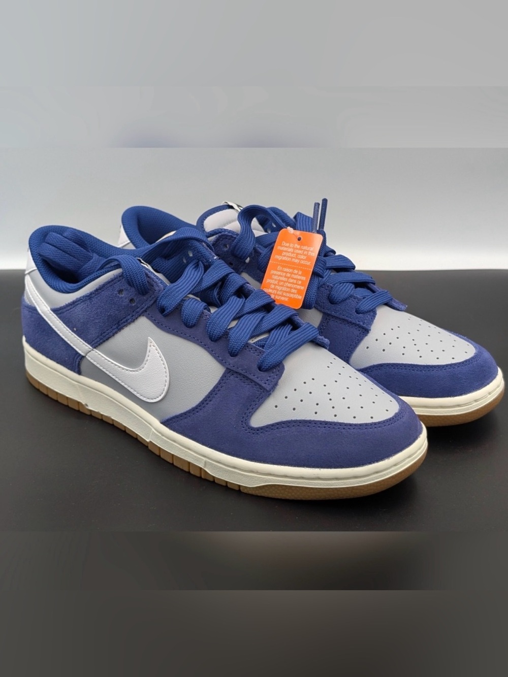 Nike Dunk Low Retro SE (Deep Royal Blue Gum)